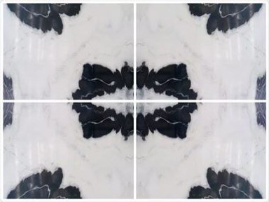 Lastra di marmo Panda