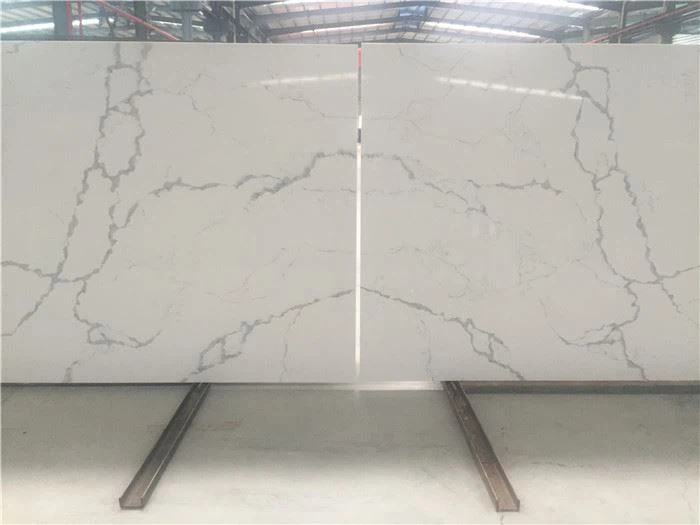 calacatta botanica quartz countertop